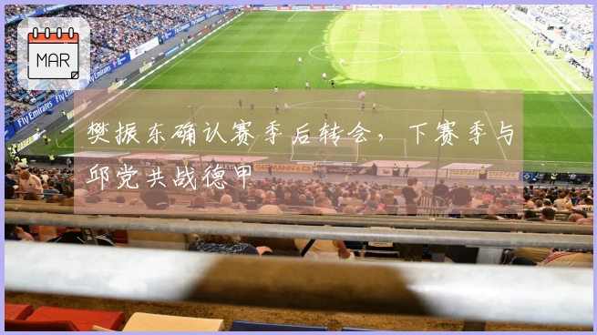 樊振东确认赛季后转会，下赛季与邱党共战德甲