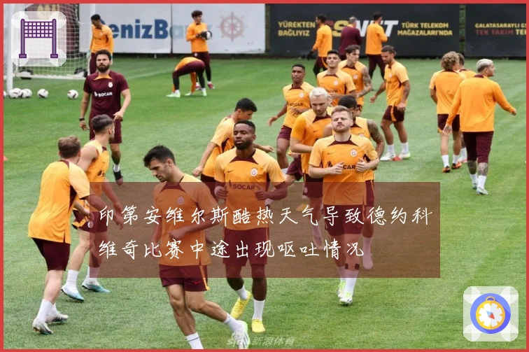 印第安维尔斯酷热天气导致德约科维奇比赛中途出现呕吐情况