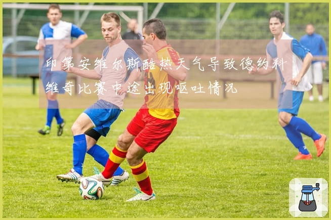 印第安维尔斯酷热天气导致德约科维奇比赛中途出现呕吐情况